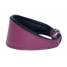  Ace Traditional Leather Dog Collar lined with super SOFT leather ::PURPLE with BLACK LINING::